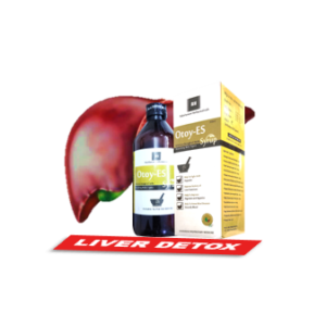 Blood Purifier Syrup